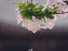-海棠花溪(元大都城垣遗址公园)