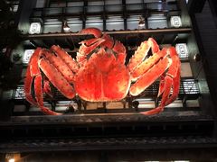 -蟹料理 北海道かに将軍(札幌本店)