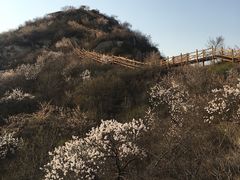 -大岭沟猕猴桃谷风景区