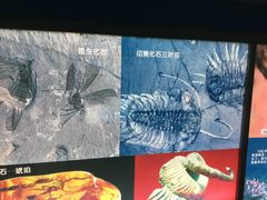 -上海昆虫博物馆