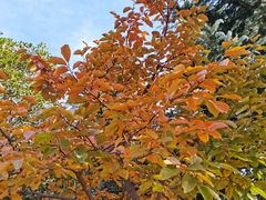 -河南省黄河迎宾馆