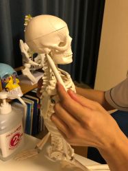 -FACE·日本小颜矫正美容整骨サロン