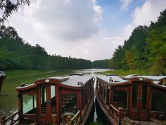 -上海海湾国家森林公园