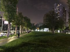 -龙头寺公园