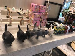 -momokira米努特·德文卷毛猫·棉花面纱犬