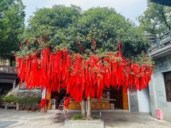 -东钱湖小普陀景区
