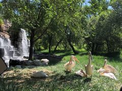 -北京野生动物园