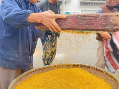 -苏州市吴中区光福窑上花果蜜饯厂