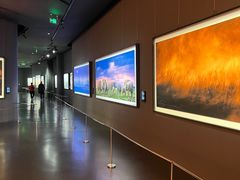 -罗红摄影艺术馆