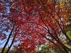-本溪老边沟风景区