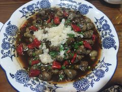 -呼吸森林·生态农庄农家乐私房菜