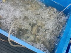 -象山小白象海鲜面