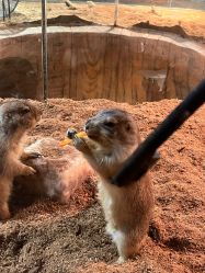 -Zoolung Zoolung动物主题公园(海信广场店)