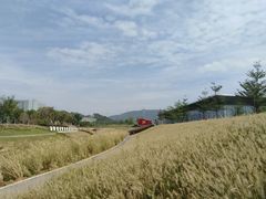 -光明小镇欢乐田园