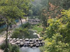 -白水寺森林公园