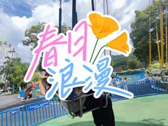 -森波拉奇妙世界