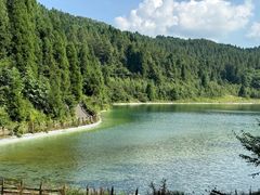-武陵山森林公园