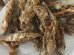 -微山岛春天里酒家