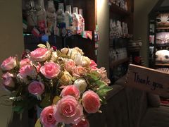 -猫咪博物馆(顶澳仔猫街店)