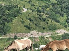 -灵山