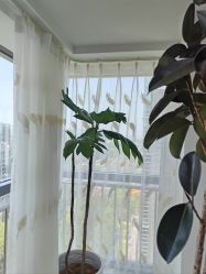 -HEYAN荷妍专业脱毛连锁机构