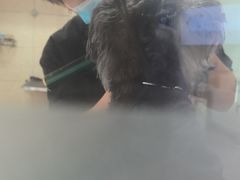 -全心全意连锁动物医院·微创中心·内科急重症·心脏专科(丰管路店)