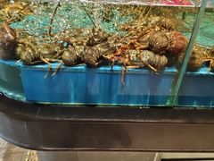 -阿伟海鲜楼·福建菜(延寿店)