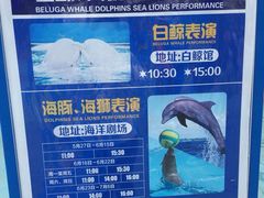 -秦皇岛乐岛海洋王国