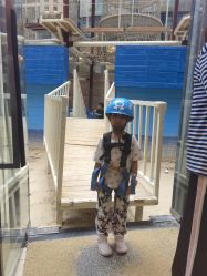 -PIPIKINGDOM皮皮王国欢乐号(欢乐海岸购物中心店)