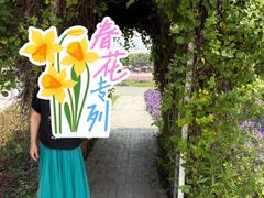 -上海杨姆庄园