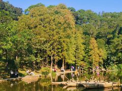 -深圳仙湖植物园