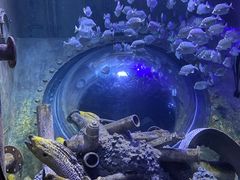 -成都浩海立方海洋公园