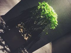 钓鱼台乐庭美食荟自助餐-成都钓鱼台精品酒店-品聚·成都餐厅
