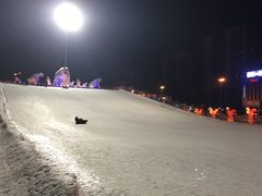 -沈阳奥体冰雪嘉年华