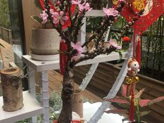 -若蘭慈·无国界素食料理(欢乐海岸店)