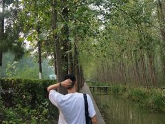 -合肥滨湖国家森林公园