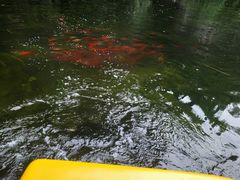 -绵阳人民公园(涪城区)