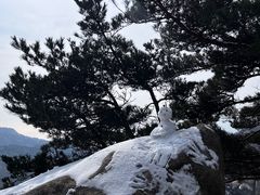 -汉宫汤泉汗蒸洗浴(五四广场店)