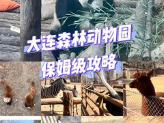 -大连森林动物园