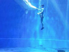 -芜湖新华联大白鲸海洋公园