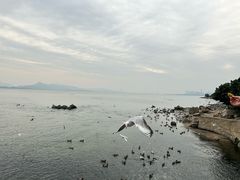 -深圳湾公园(南山区)