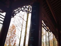 -重庆彩云湖湿地公园