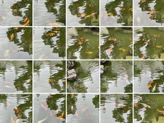 -园林格兰云天大酒店-太极名厨中餐厅