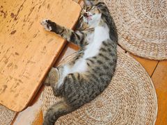 -ZM COFFEE(西安路店)