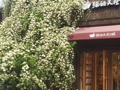-猫的天空之城概念书店(苏州平江店)