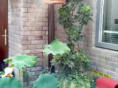-百花深处胡同