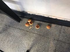 门面-嘉华鲜花饼·现烤(昆明老街店)