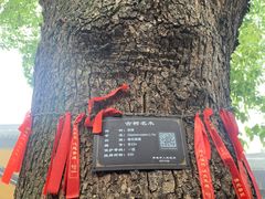 -兴福老面馆(寺路街店)