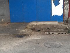 -玉塘村小杨馄饨