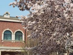 -天津五大道文化旅游区